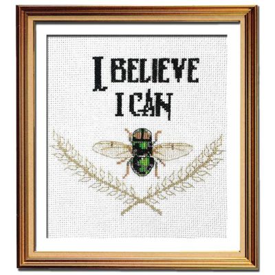 I believe I can fly cross stitch pattern