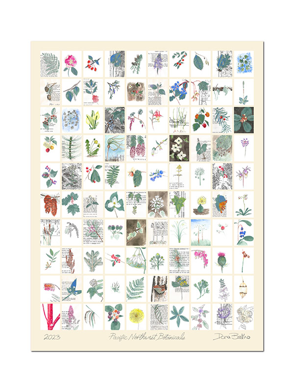 9x12 Pacific Northwest Botanicals art print